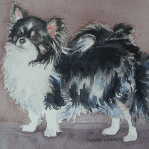 Chipper (Watercolor)
