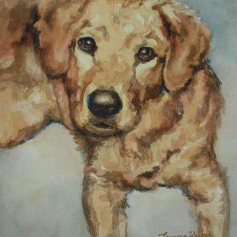 Duke (Watercolor)